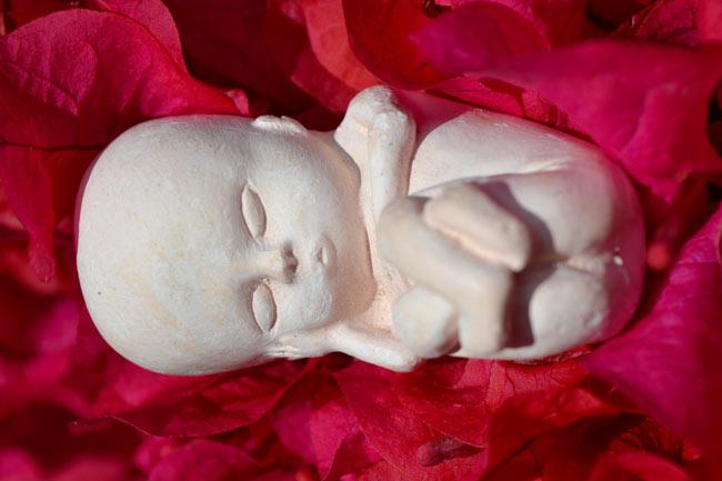 Todos contra o aborto. Foto: Tomaz Alves