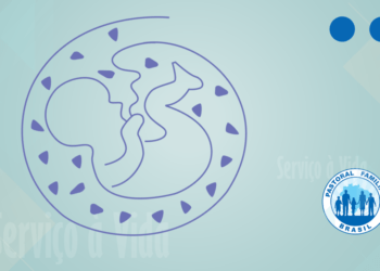 Resolução do CFM sobre aborto gera disputa judicial e é tema de projeto de lei