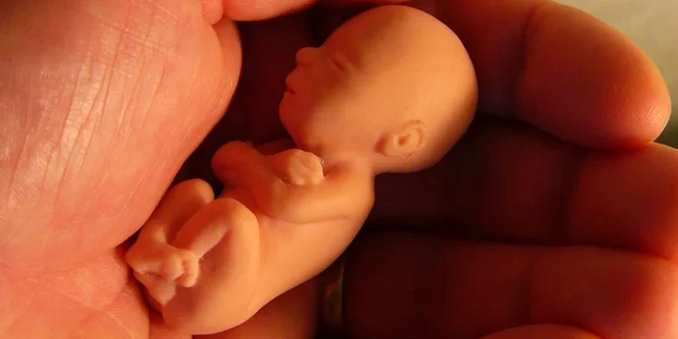 Federação Nacional dos Médicos e Juristas Católicos se posicionam contra aborto