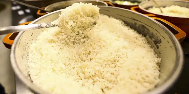 Fome ainda atinge 7,4 milhões de famílias brasileiras, aponta IBGE