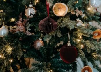 Conheça a benção para Árvore de Natal feita em família