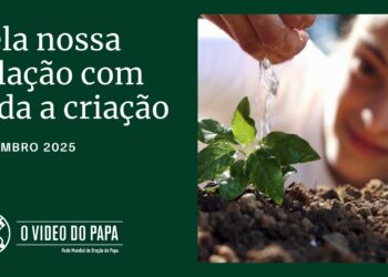 Intenção do Papa para setembro: pela nossa relação com toda a criação