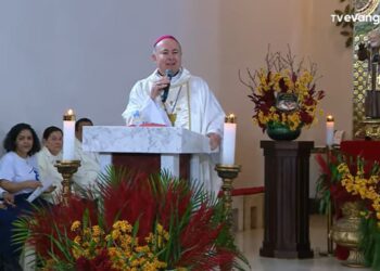 “A vida é sempre um bem!”, diz Dom Zico na abertura da Semana Nacional da Vida