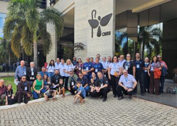 Movimentos e serviços eclesiais se reúnem para discernir sobre a evangelização das famílias no Brasil